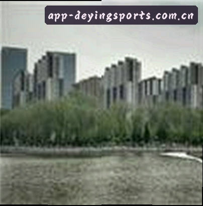 郑宇